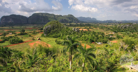 The Vinales Valley in Cuba with its limestone mogotes and green fields