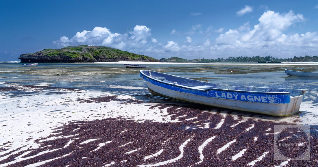 A traditional boat on the shore at Watamu, Kenya