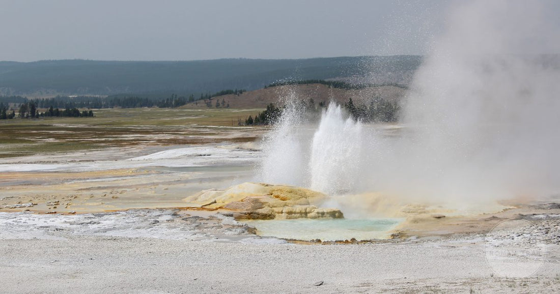 A geyser erupting in the geothermal landscape of Yellowstone National Park