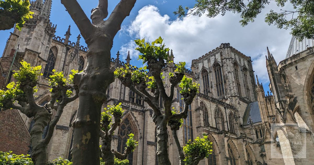 York Minster framed by trees, England