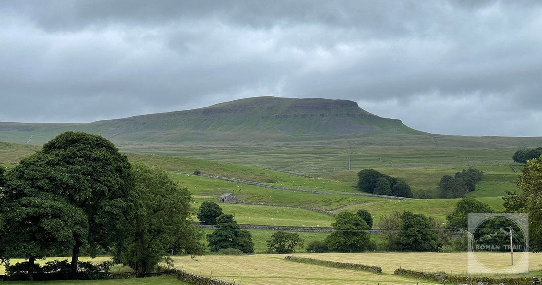 Stone walls and green fields below Whernside in the Yorkshire Dales, England