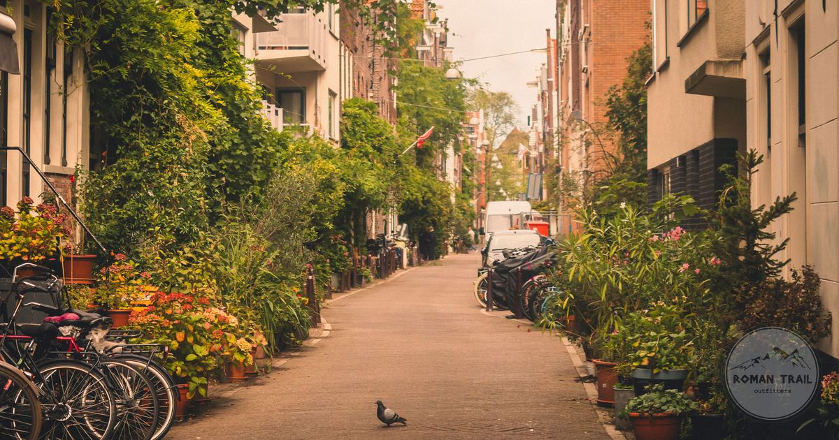 A quiet Amsterdam street with bicycles and greenery, Netherlands