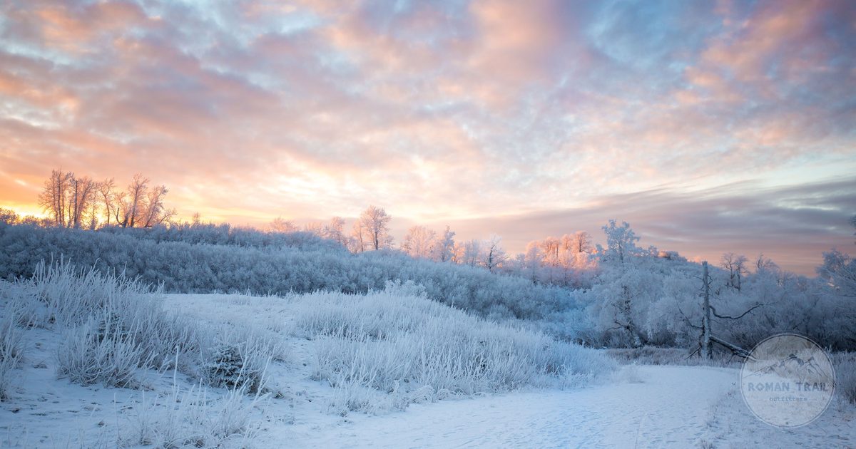 Frost covered trees under a pastel winter sky in Anchorage, Alaska