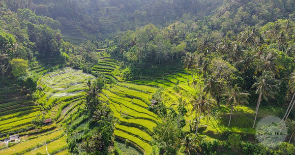 Bali travel guide for women