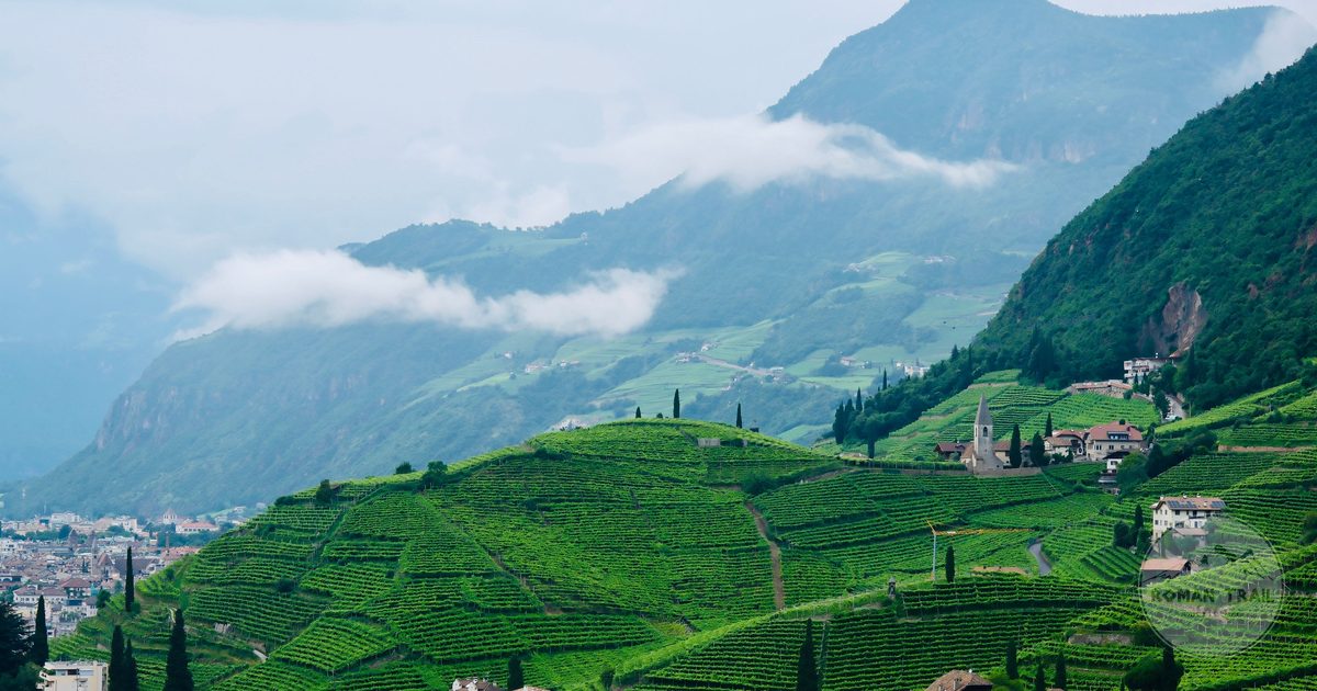Vineyards below the mountains at Bolzano, South Tyrol, Italy