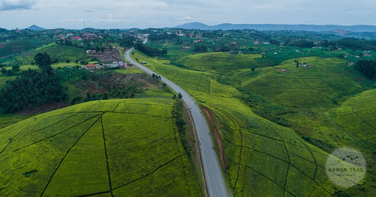 Green hills and a winding road in the Ugandan countryside