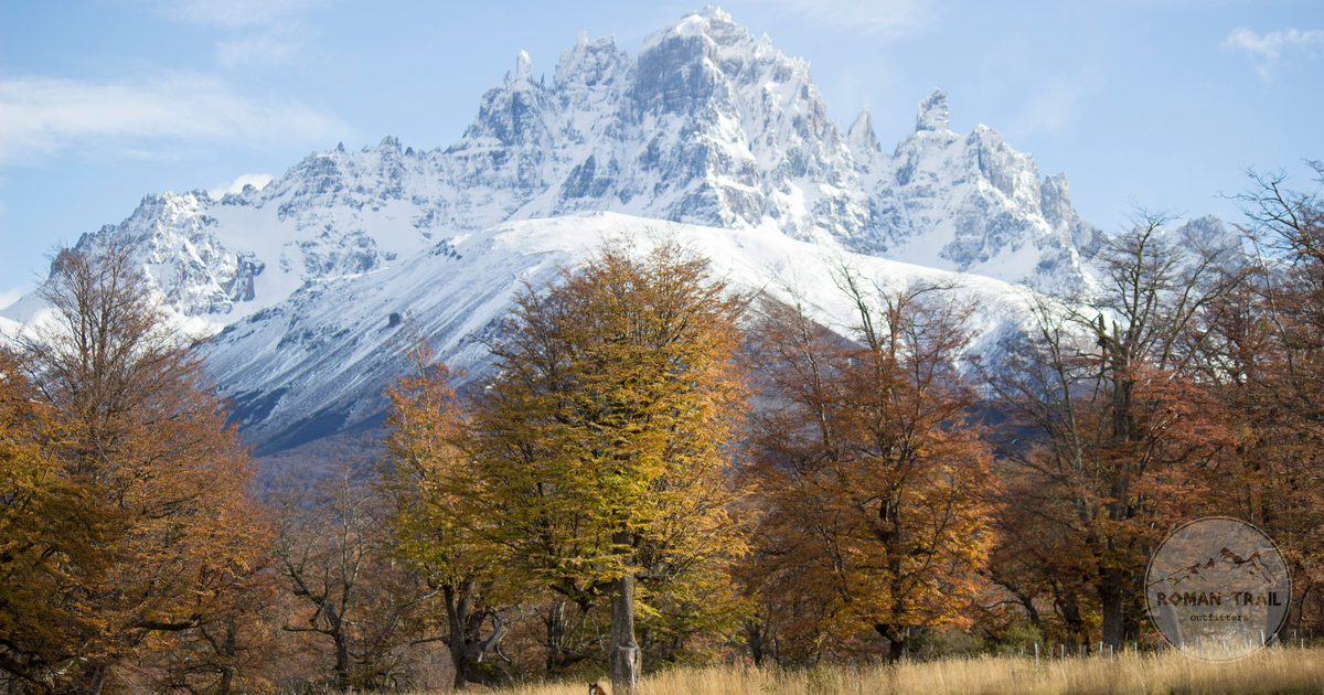 A horse below a snow covered peak with autumn trees at Coyhaique, Chile