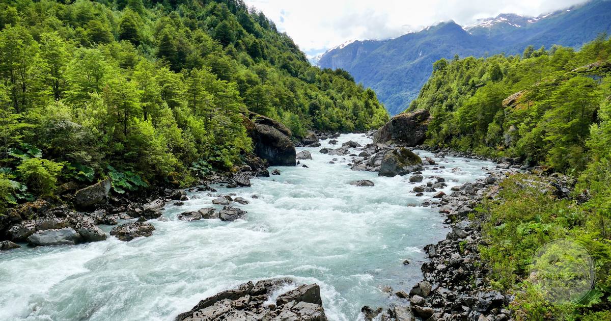 A river flowing through green valleys at Coyhaique, Chile