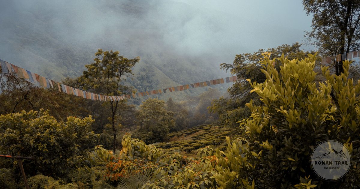 Misty hills and tea gardens near Kurseong in the Darjeeling district, Darjeeling packing list for women by Roman Trail Outfitters