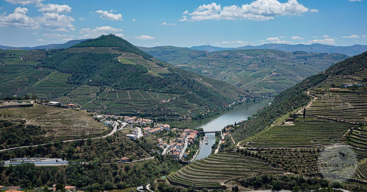 Vineyards and the river in the Douro Valley, Portugal