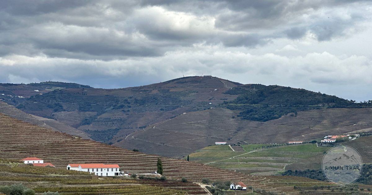 Terraced vineyards under cloud in the Douro Valley, Portugal