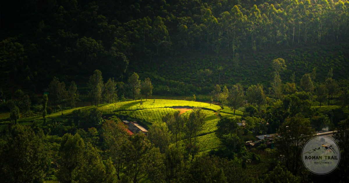 Sunrise over the green hills at Ella, Sri Lanka