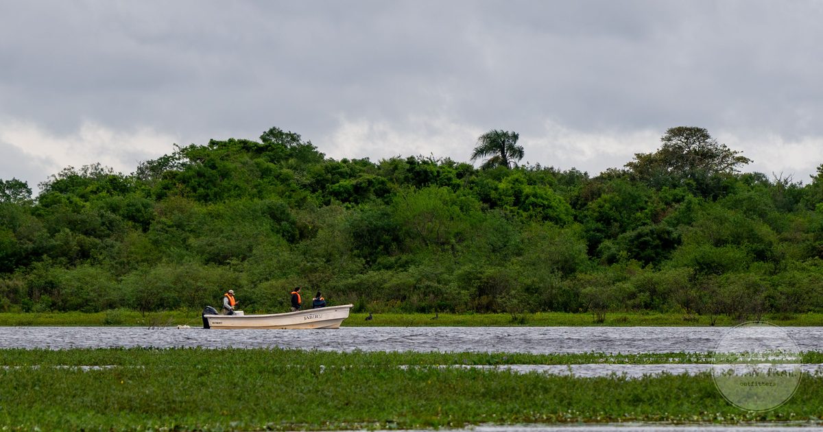 A boat on a river among lush greenery in Corrientes, Argentina
