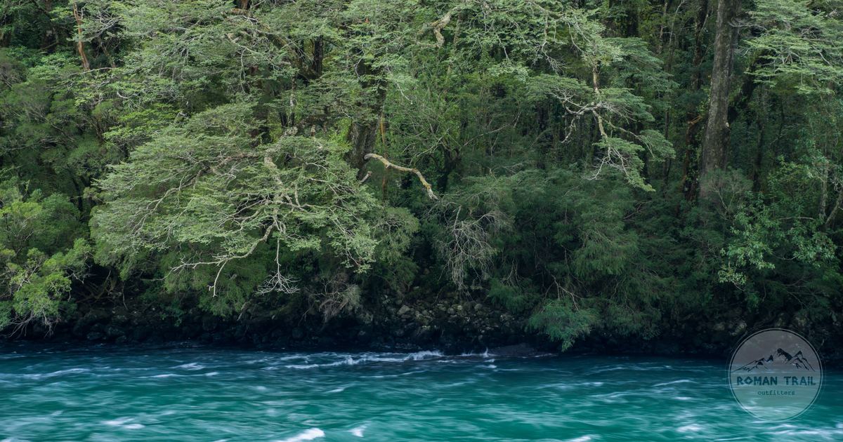 The Futaleufú River flowing past dense forest in Los Lagos, Chile