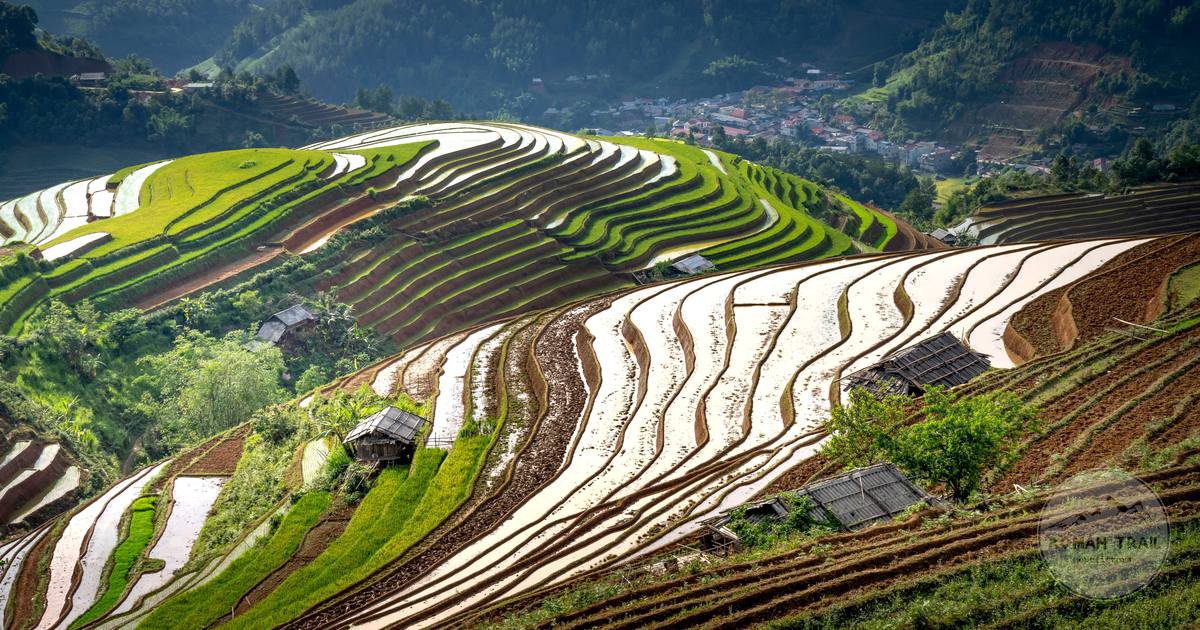 The Longji rice terraces in Guangxi, China