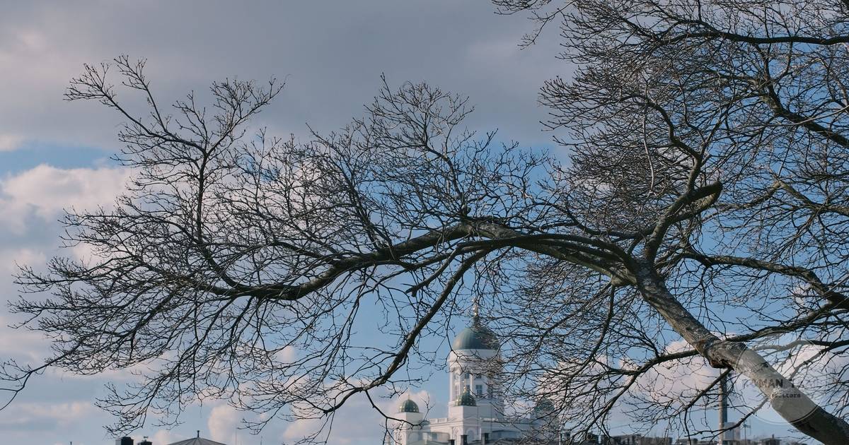 Helsinki Cathedral framed by bare winter branches, Finland