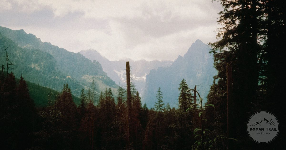 The High Tatras above dense forest, Slovakia