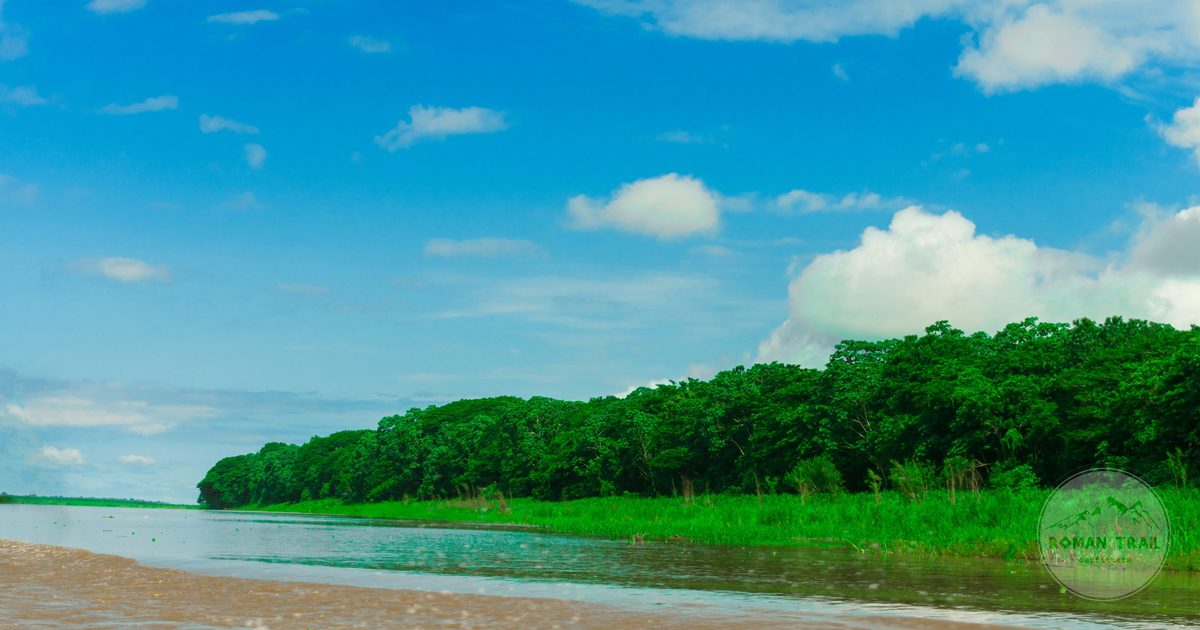 The Amazon river and rainforest in Loreto, Peru