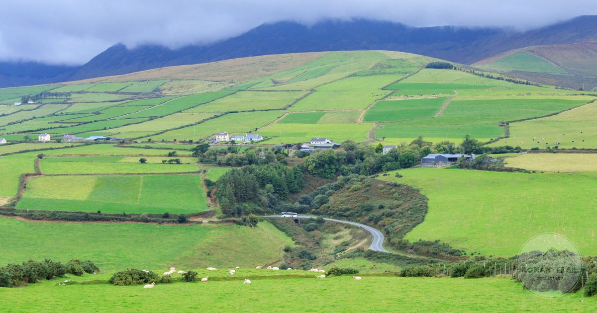 Green fields and rolling hills at Dingle in County Kerry, Ireland