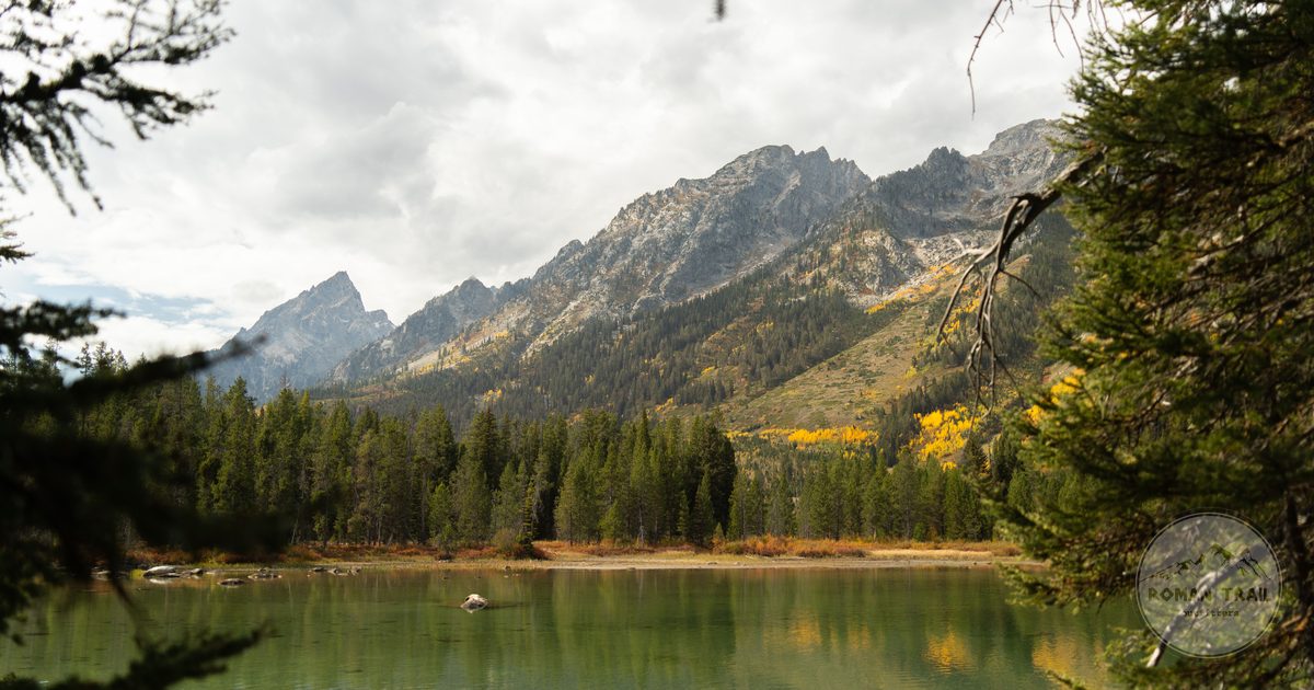 Autumn colour beside a lake in Grand Teton National Park, Wyoming