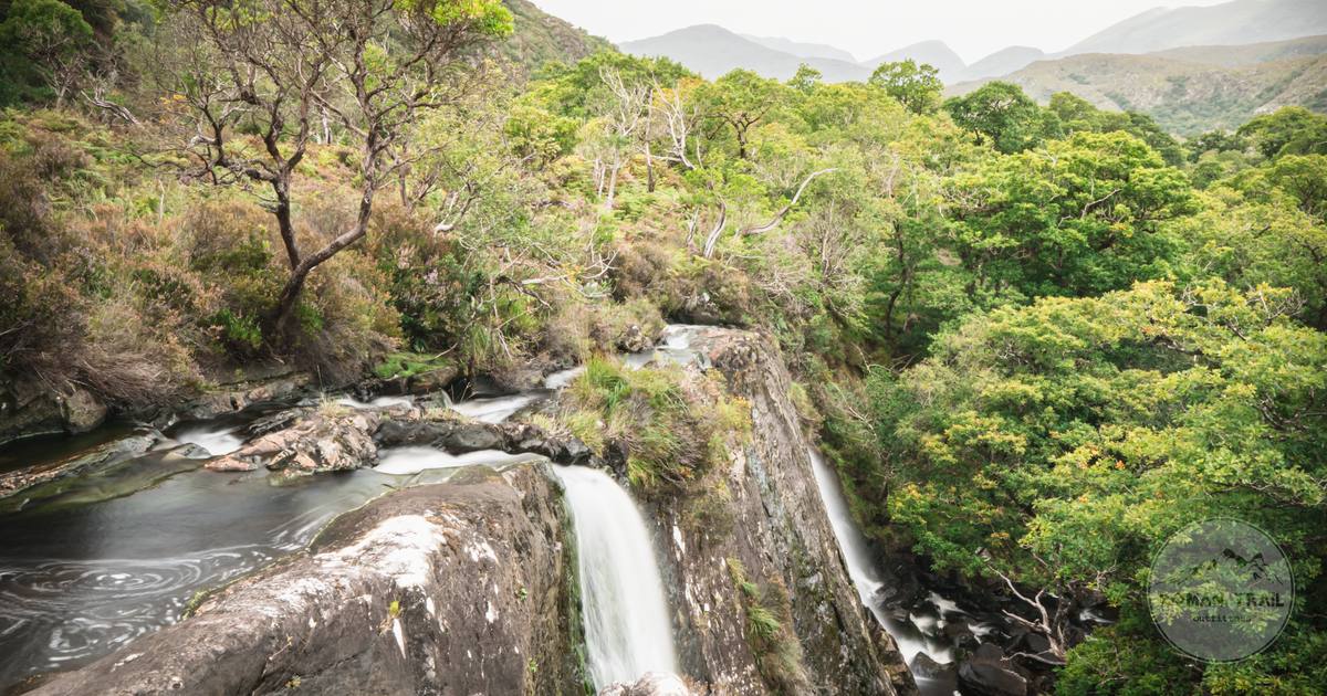 A waterfall running through woodland in Killarney National Park, Ireland