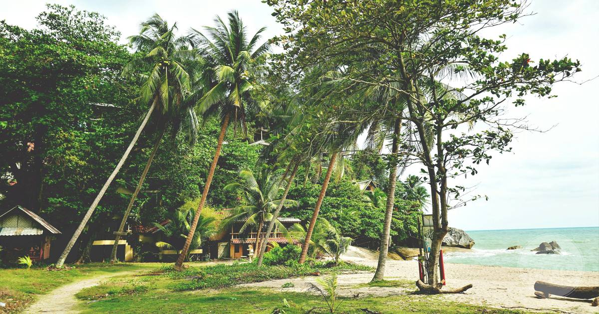 A beach with palms on Ko Pha-ngan, Thailand