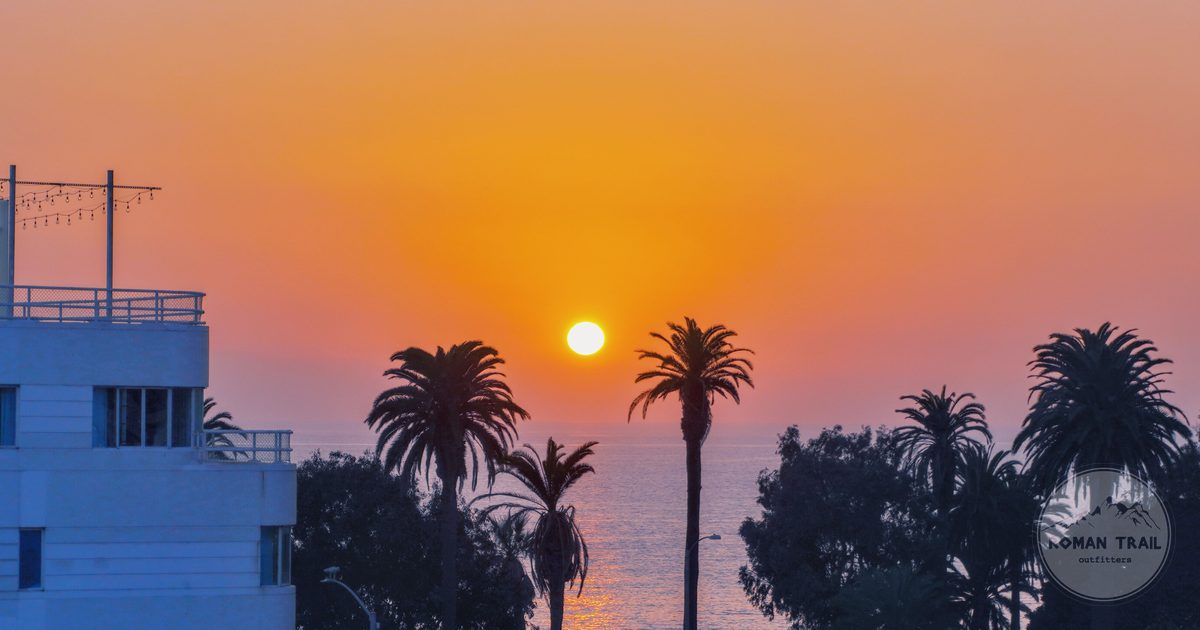 Sunset over the Pacific at Santa Monica beach with palm silhouettes, Los Angeles for women travelers