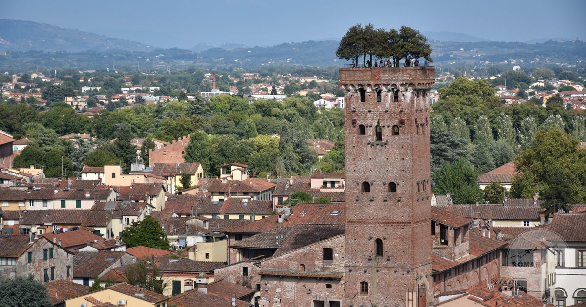 The Guinigi Tower with trees growing on its roof in Lucca, Italy