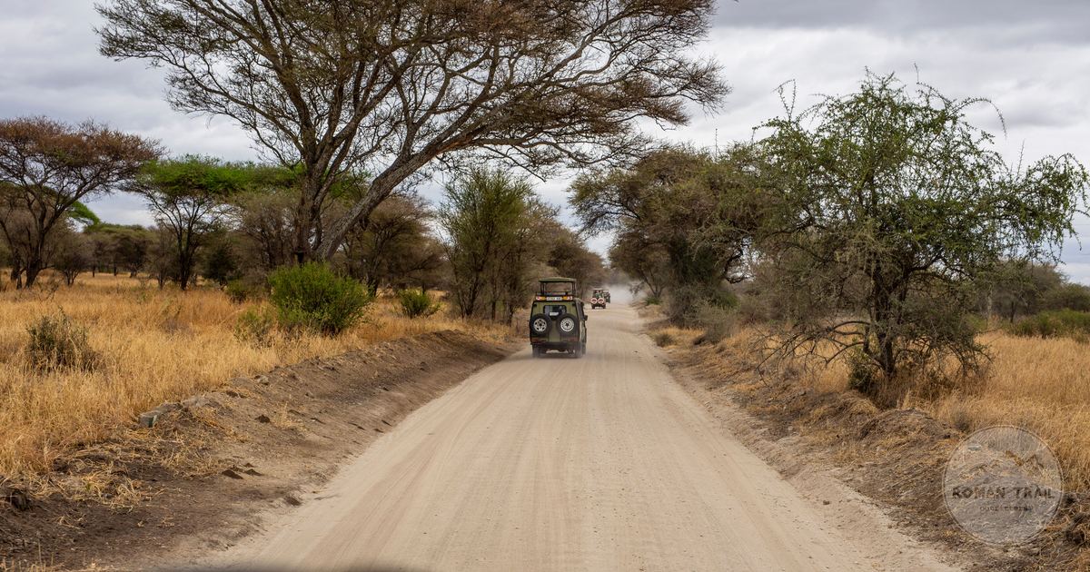 A safari vehicle on a dusty track across the savannah, Kenya