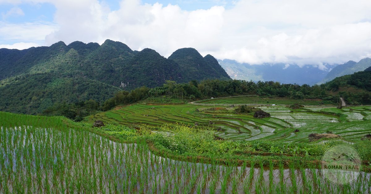Terraced rice fields at Pu Luong, Vietnam