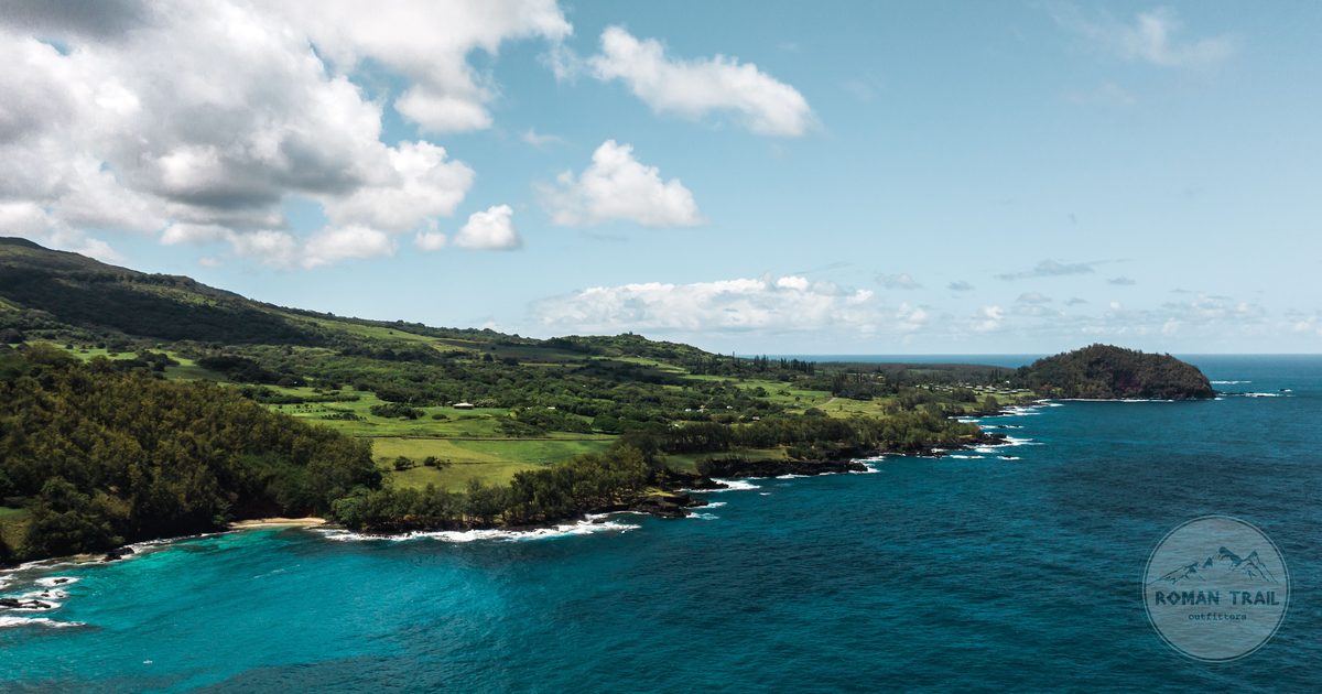 An aerial view of the green coastline near Hana on Maui, Hawaii