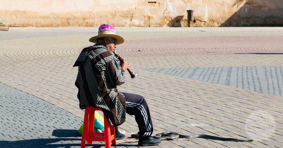 A street performer in Meknes, Morocco