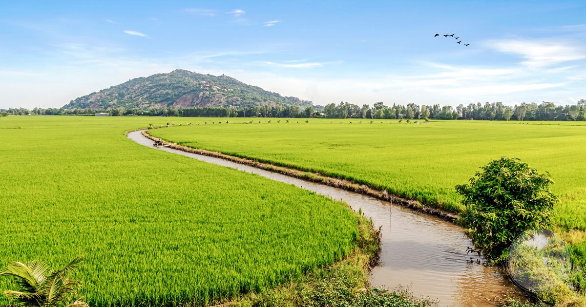 Rice fields and a winding canal below the mountains at Chau Doc, Vietnam