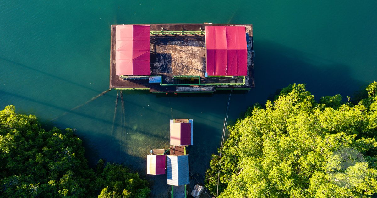 Aerial view of a waterfront building and green surroundings at Montego Bay, Jamaica