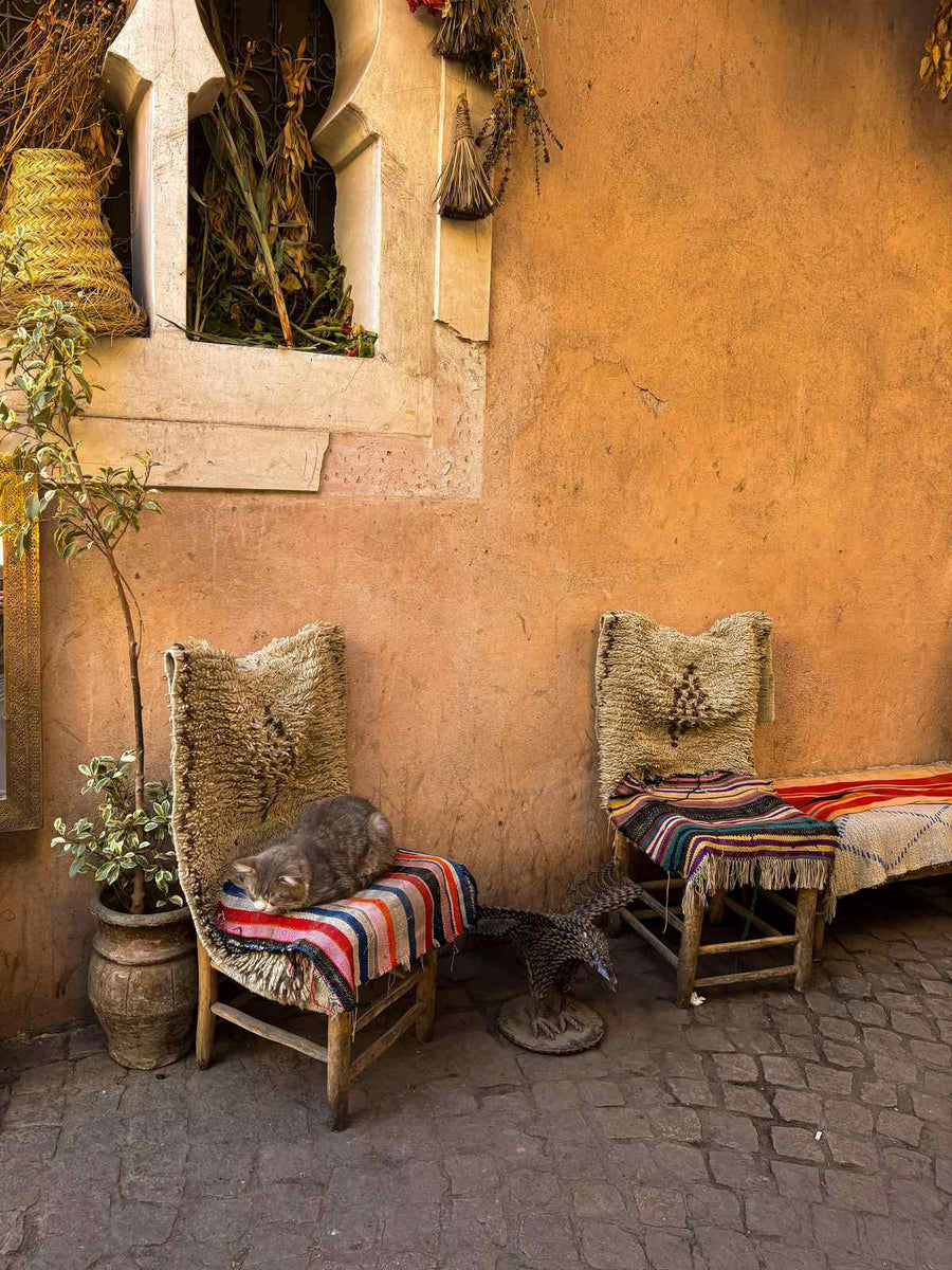 Marrakech medina Morocco, navigating the souk as a woman traveler