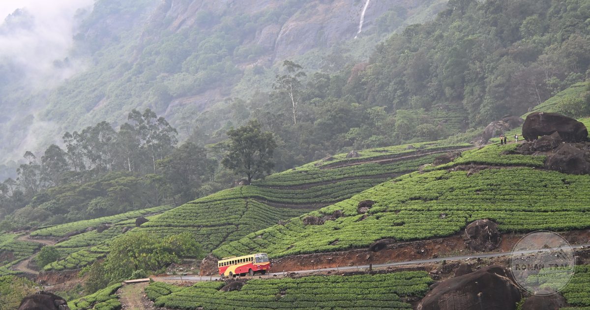 Misty tea plantations with a road winding through at Munnar, Kerala, India