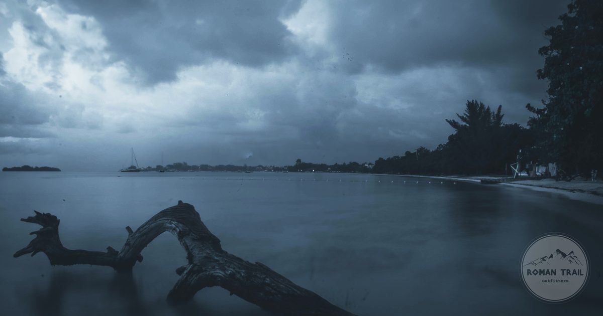 Driftwood on a beach at twilight in Negril, Jamaica