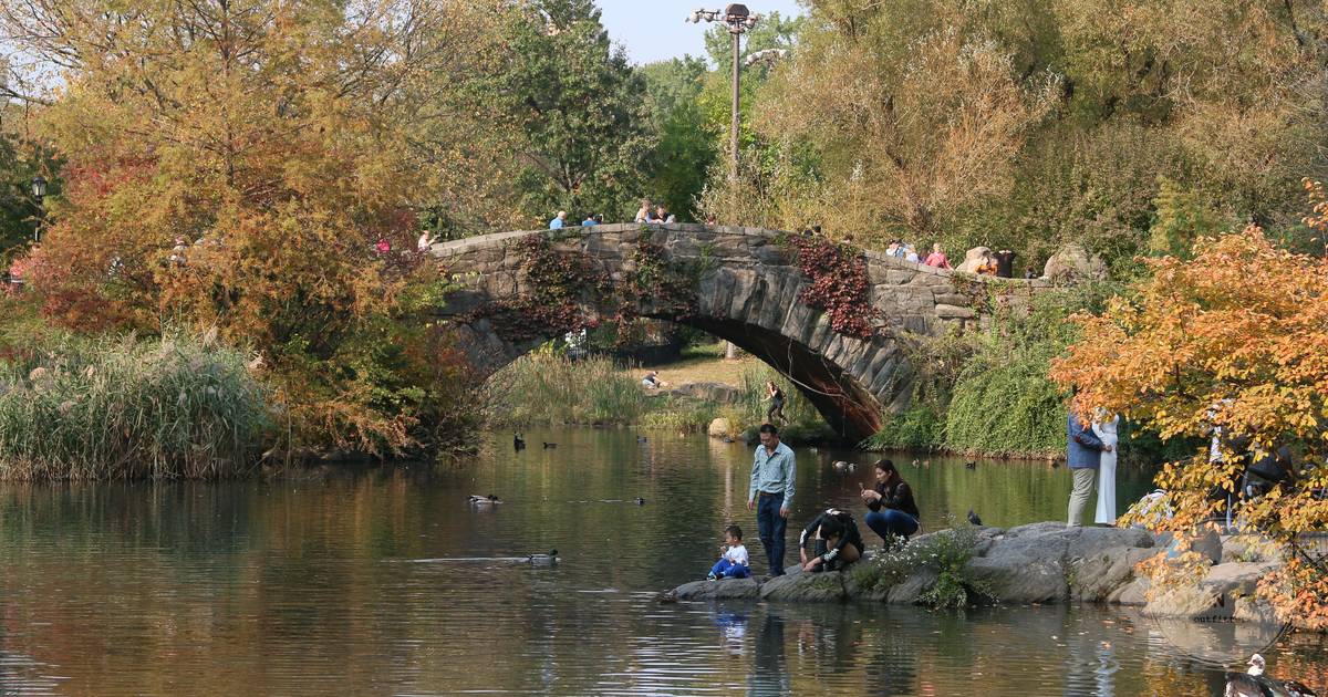 Gapstow Bridge and autumn colour in Central Park, New York City for women travelers