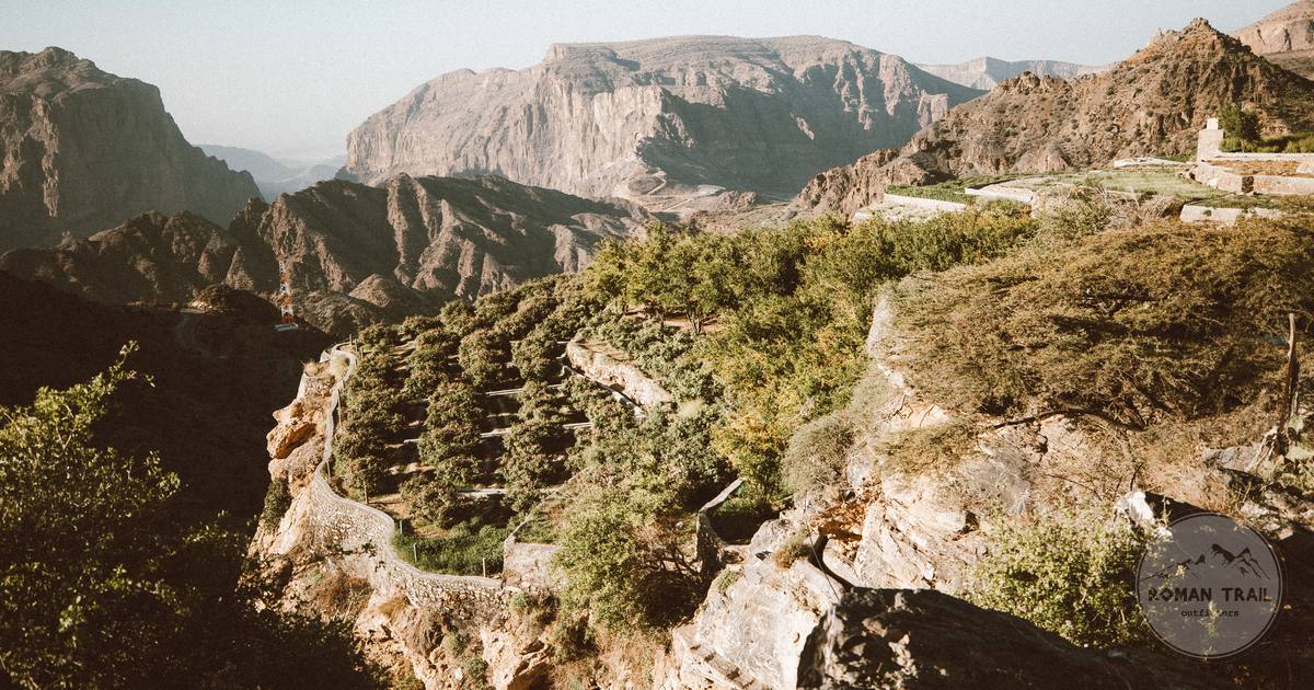 Terraced farms on the green slopes of Jebel Akhdar, Oman