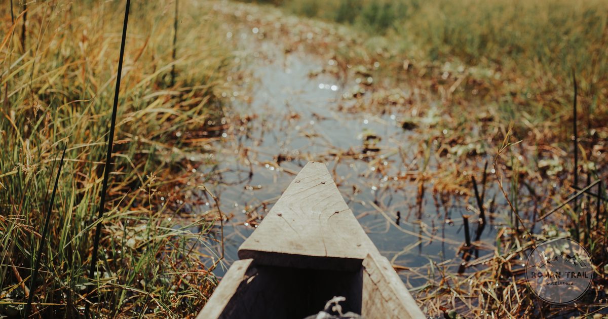 A wooden canoe on a channel through tall marshland grasses