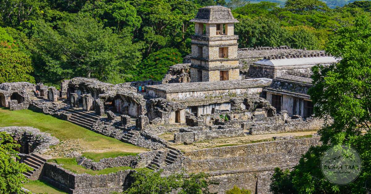 Stone ruins among dense jungle at Palenque, Mexico