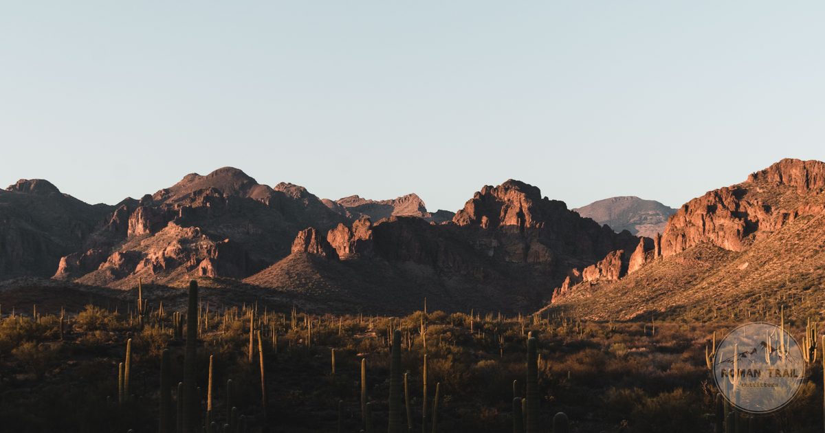 Sonoran desert saguaro and red rock at sunset near Phoenix, Phoenix travel guide for women by Roman Trail Outfitters
