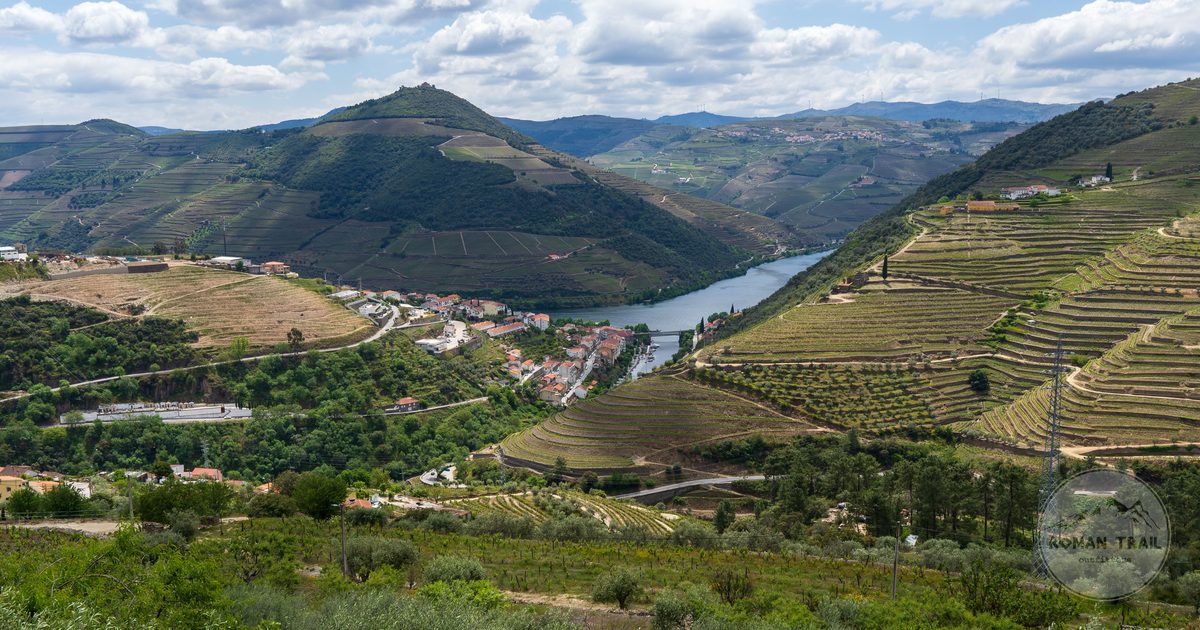 Terraced vineyards above the Douro river, Portugal