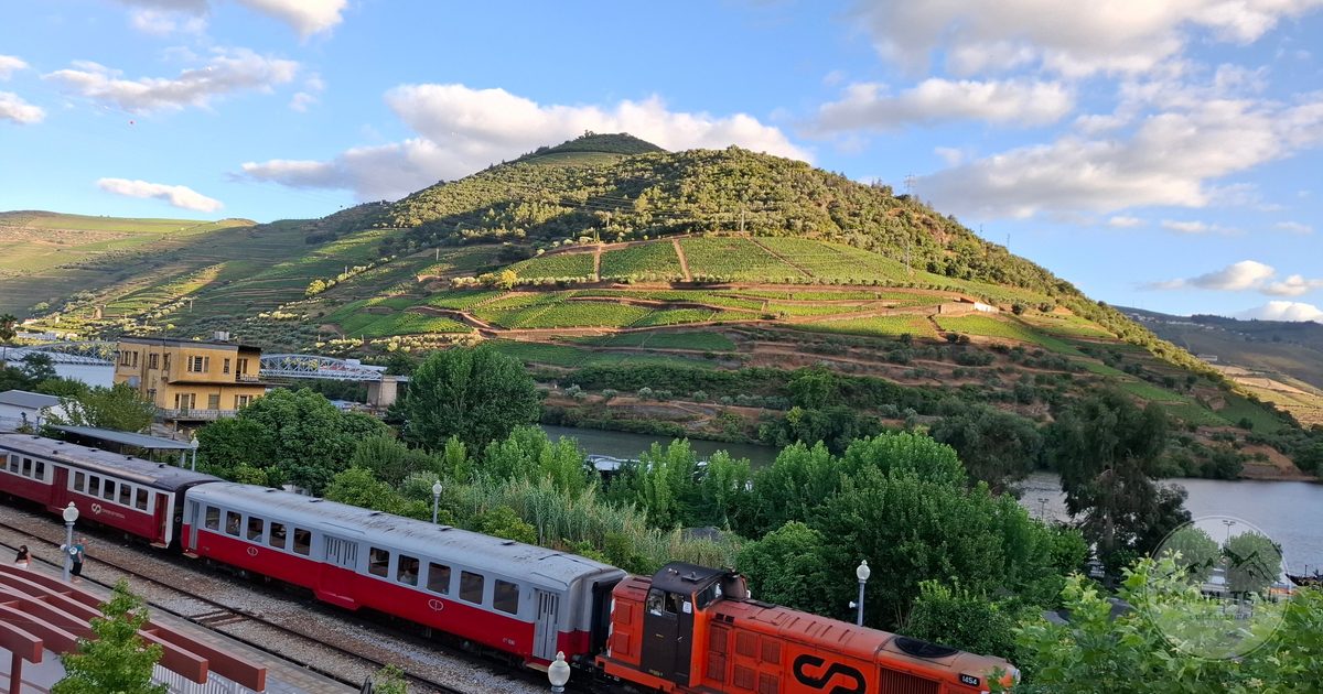 A train passing through the vineyards of the Douro Valley, Portugal