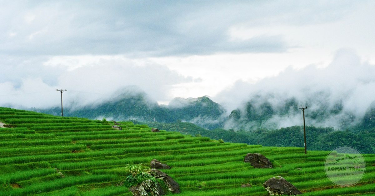 Green terraced rice fields at Pu Luong, Vietnam