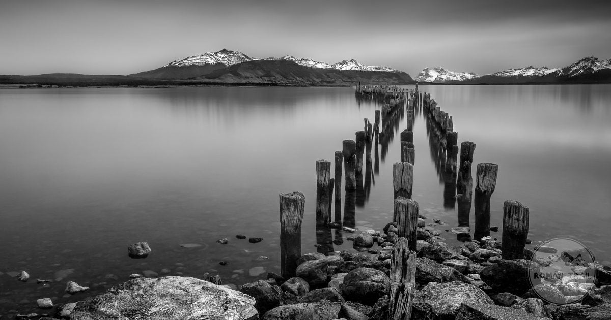 Wooden posts along the coastline at Puerto Natales, Chile, in black and white