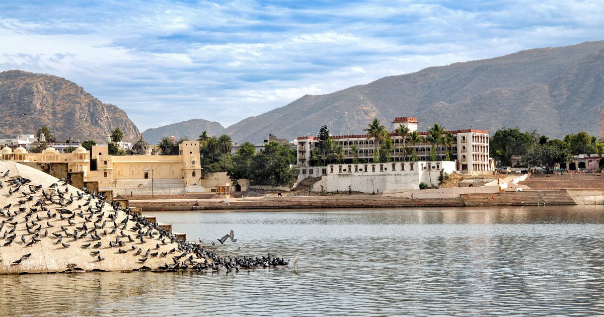Pigeons and historic architecture beside Pushkar Lake, Rajasthan, India