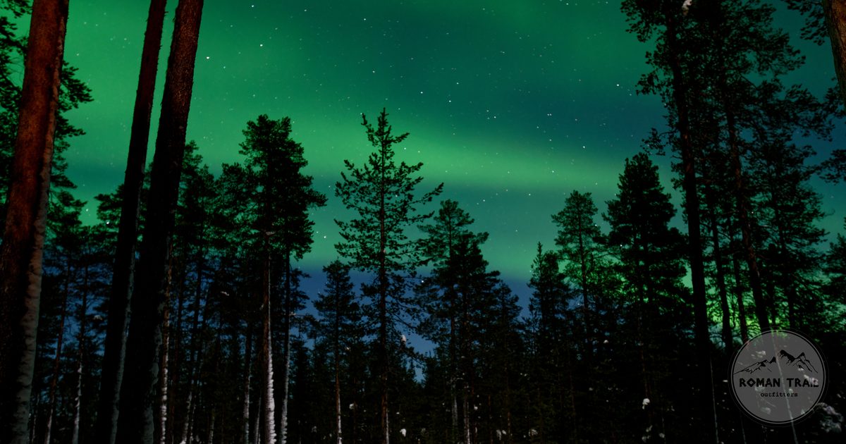 Northern lights over a snowy forest in Finnish Lapland