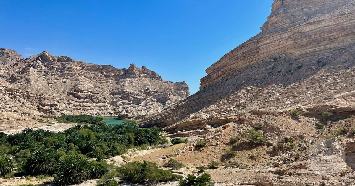 A canyon oasis with lush greenery and tall rock formations in Dhofar, Oman