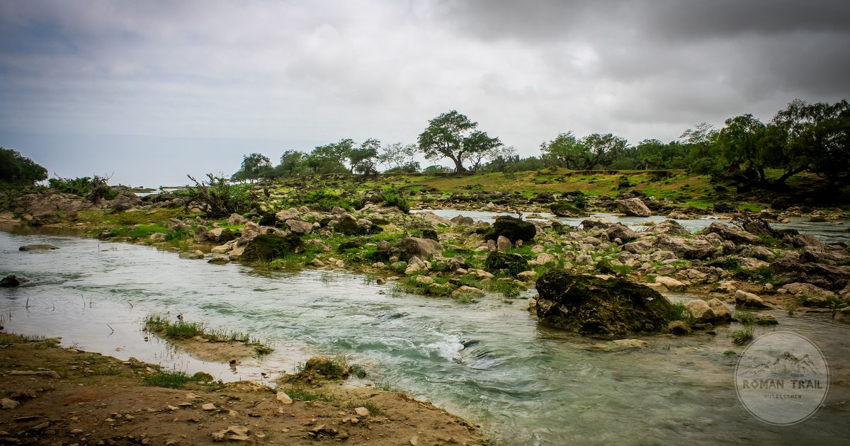 A stream running through green rocky terrain at Taqah in Dhofar, Oman